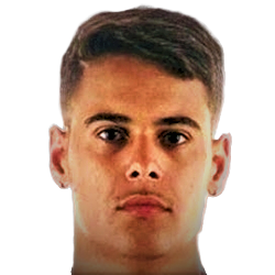 Lucas de Freitas Molarinh