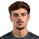 José Guilherme Ribeiro